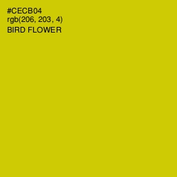 #CECB04 - Bird Flower Color Image
